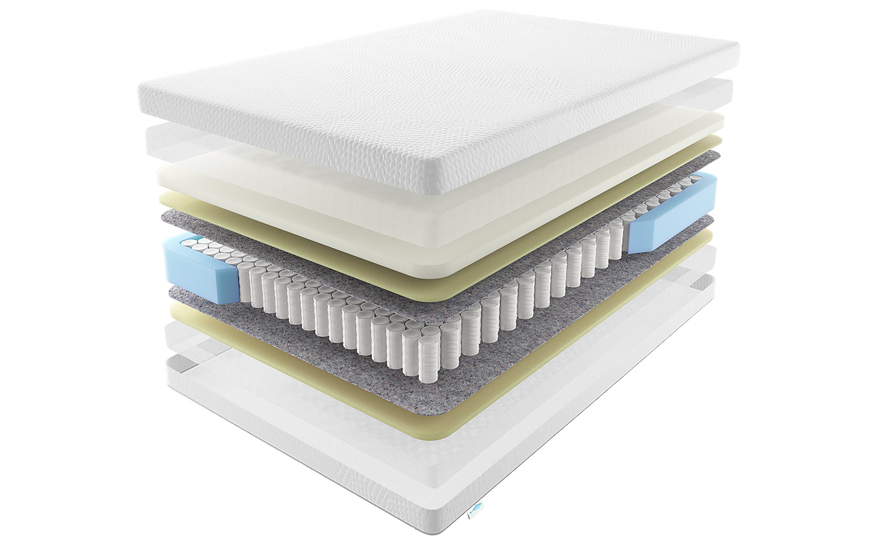 Flepers Anthropology Steegman